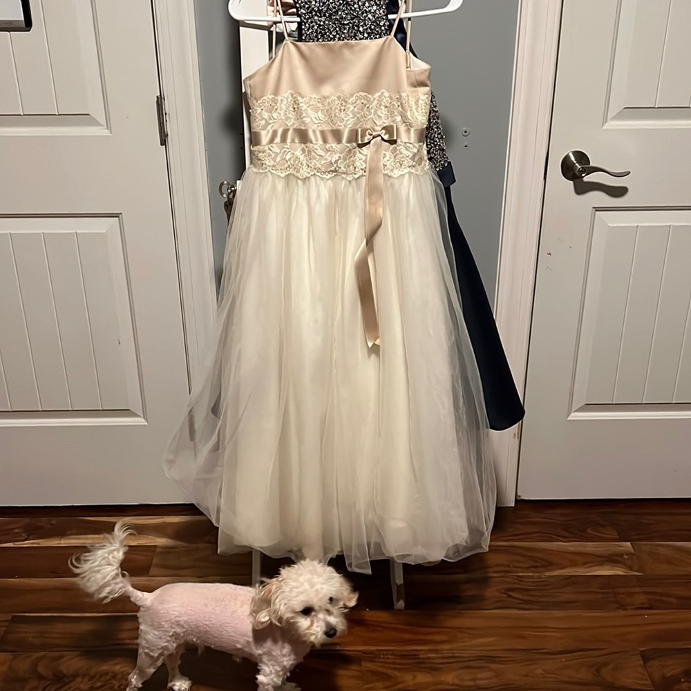 david’s bridal dress ivory two small stains, could come out